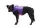 Preview: Ruffwear Float Coat Hunde-Schwimmweste Purple Lily Gr. XXS